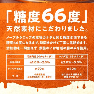 メープルシロップ「snow」(65g)3本セット 国産 北海道 樹液 食品 沼田町 n-0111