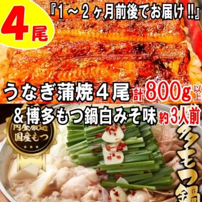 うなぎの蒲焼4尾&博多もつ鍋白みそ味(3人前)【スタミナ満点セット】.BF031