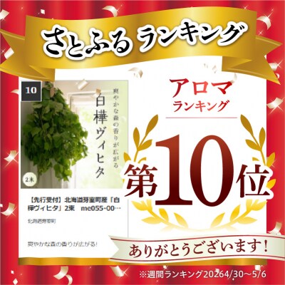 北海道芽室町産「白樺ヴィヒタ」2束　me055-002c-3