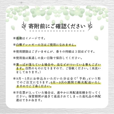 北海道芽室町産「白樺ヴィヒタ」2束　me055-002c-3