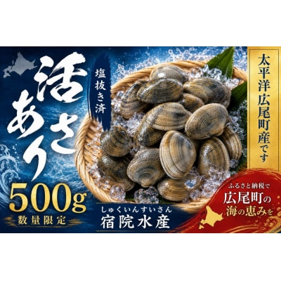 広尾町産　数量限定　活あさり　500g【アサリ　貝　生　新鮮　期間限定　北海道】(G0018)