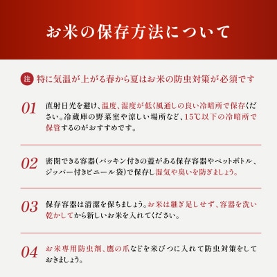 【令和7年産】一稲匠5kg