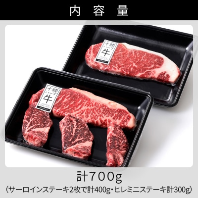 十勝ハーブ牛 サーロイン ヒレ ステーキ セット 計700g 北海道産 牛肉 赤身