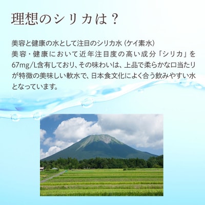 理想のシリカ 500ml × 48本 