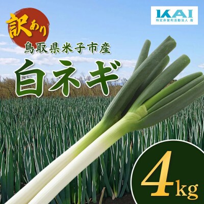 鳥取県産　【訳あり】白ネギ4kg
