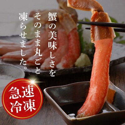 かに 極太 生本ずわいがに 棒肉ポーション 約500g 13本～20本入 [20564334]