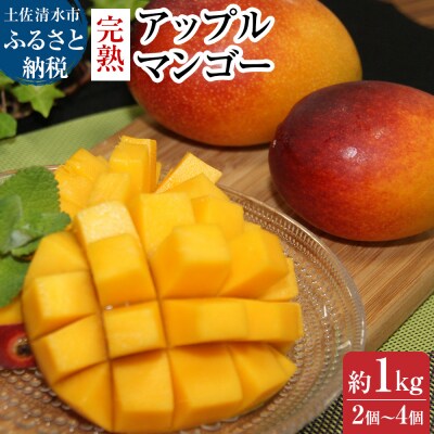 完熟アップルマンゴー1kg(2個～4個入り)フルーツ 果物 果汁 【R00520】