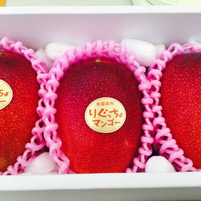 完熟アップルマンゴー1kg(2個～4個入り)フルーツ 果物 果汁 【R00520】