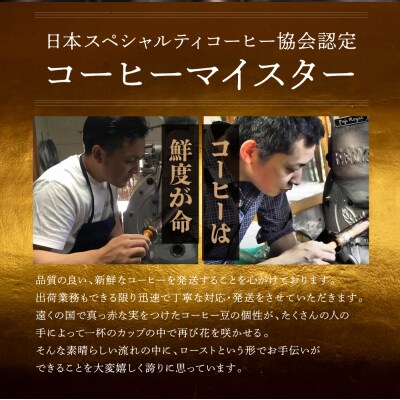 自家焙煎珈琲店「緑の館」/「ストロングブレンド」豆　500g×2(1kg)【17-74】