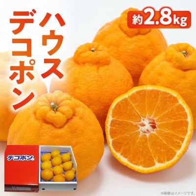 高松産季節の果物【ハウスデコポン】約2.8kg