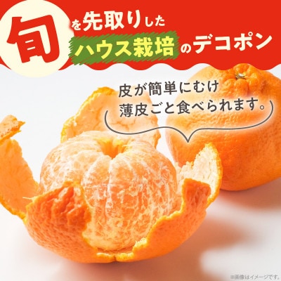 高松産季節の果物【ハウスデコポン】約2.8kg