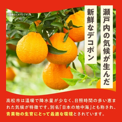 高松産季節の果物【ハウスデコポン】約2.8kg