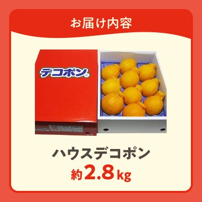 高松産季節の果物【ハウスデコポン】約2.8kg