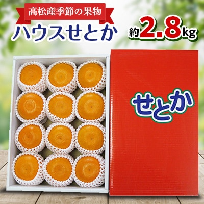 【先行受付2026年】高松産季節の果物【ハウスせとか】約2.8kg