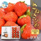 【感謝企画】さぬきひめいちご化粧箱たっぷり約400g(12～18粒)4 箱