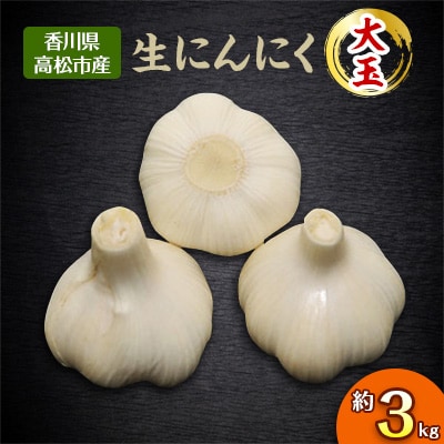 【先行受付2026年】大玉 生にんにく　約3kg