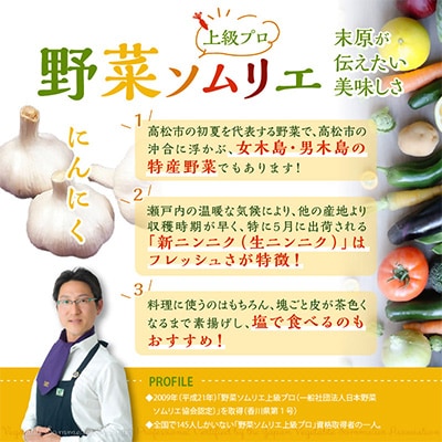 【先行受付2026年】大玉 生にんにく　約3kg