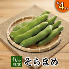 【先行受付2024年】旬の味覚　そらまめ　約4kg