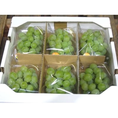 マスカット・オブ・アレキサンドリア約2kg(約350g×6パック)