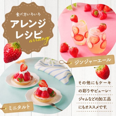 希少品種　女峰いちご4パック(各約250g)