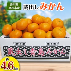 【先行受付2025年】蔵出しみかん 約4.6kg