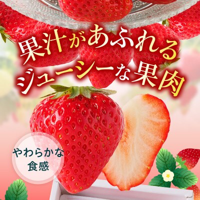 【1月～4月発送】ケーキ用　さぬきひめいちご　4トレー(各約280g)
