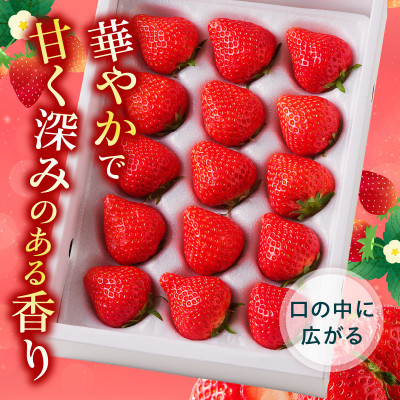 【1月～4月発送】ケーキ用　さぬきひめいちご　4トレー(各約280g)