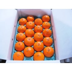 ご家庭用　せとか　約3kg