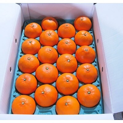 ご家庭用　せとか　約3kg