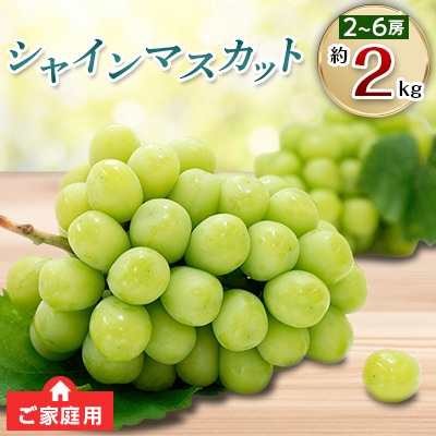 【先行受付2024年】ご家庭用シャインマスカット 約2kg シャインマスカット(粒) 約2kg