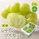 【先行受付2025年】高級　シャインマスカット　約2kg
