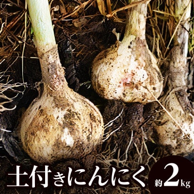 【2025年5月発送】土付きにんにく　約2kg