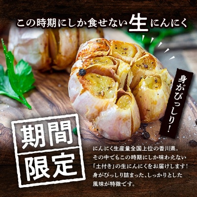 【2026年5月発送】土付きにんにく　約5kg