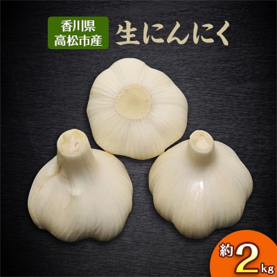 【2026年5～6月発送】生にんにく　約2kg
