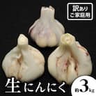 【2026年5~6月発送】ご家庭用　生にんにく　約3kg