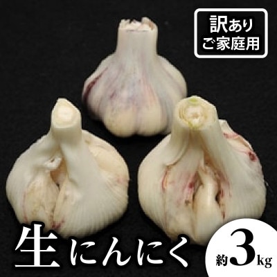 【2026年5~6月発送】ご家庭用　生にんにく　約3kg
