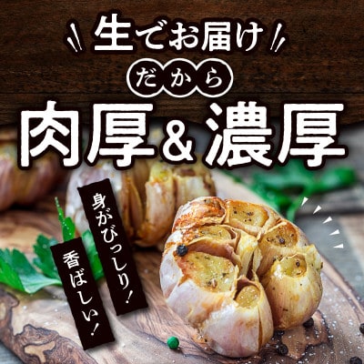 【2026年5~6月発送】ご家庭用　生にんにく　約3kg