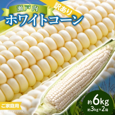 訳あり ご家庭用 瀬戸内ホワイトコーン　約6kg【6月上旬～7月中旬】
