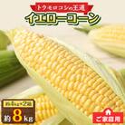 訳あり ご家庭用 瀬戸内イエローコーン　約8kg【6月中旬～7月中旬】