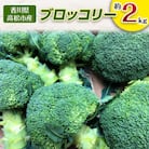【2025年11月～2026年5月発送】ブロッコリー　約2kg