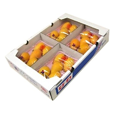 【2021年5～6月発送】陽玉びわ　約1kg (約250g×4パック)