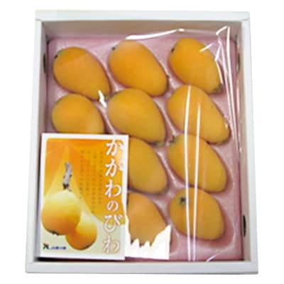 【先行受付2022年】【2022年5～6月発送】陽玉びわ化粧箱　約500g