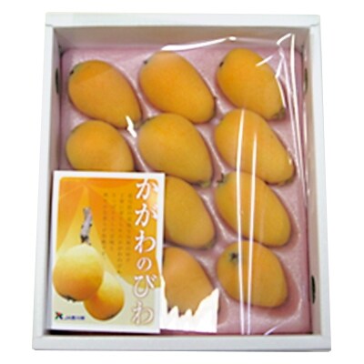 【2021年5～6月発送】なつたよりびわ化粧箱　約500g