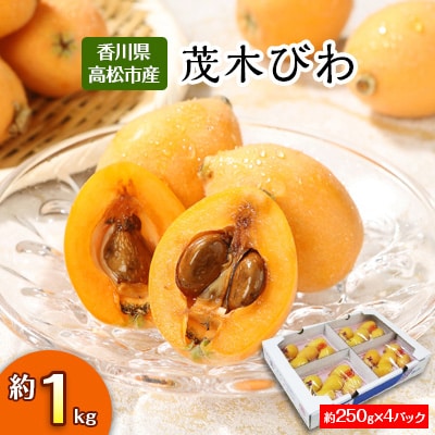  【先行受付2025年】茂木びわ　約1kg (約250g×4パック)