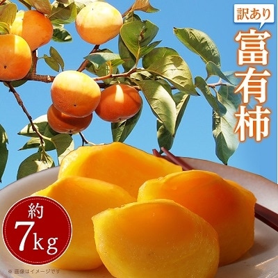 【先行受付2025年】【感謝企画5000セット】訳あり　富有柿　約7kg