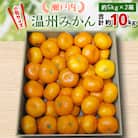 【先行受付2025年】瀬戸内温州みかん　小粒サイズ約10kg【2025年10月～2026年1月発送】