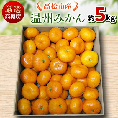【先行受付2025年】瀬戸内温州みかん　厳選高糖度　約5kg【2025年11月～2026年1月発送】