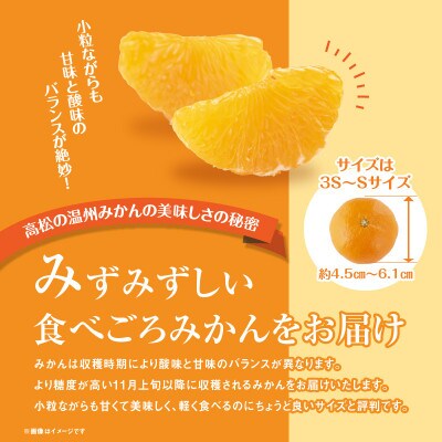 【先行受付2025年】瀬戸内温州みかん厳選高糖度約10kg【2025年11月～2026年1月発送】