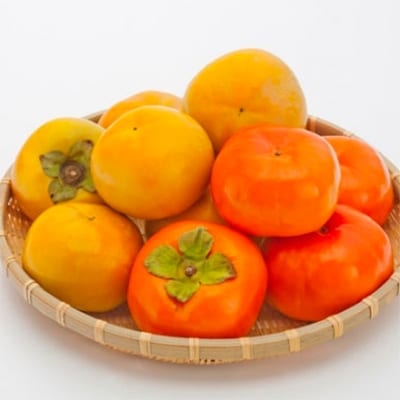 【2021年9～10月発送】太秋柿・早秋柿　食べ比べ　約6kg