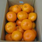 【先行受付2026年】【2～3月発送】ご家庭用はるみ　約3kg